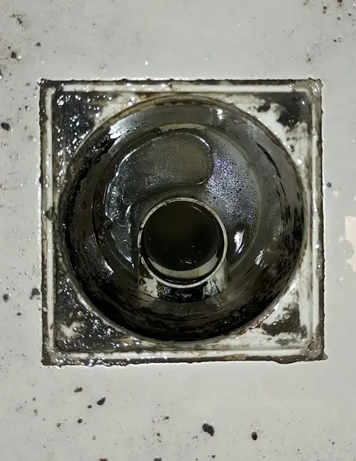 sobre-2